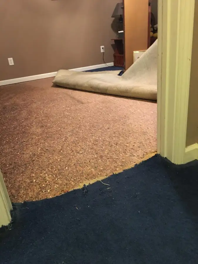 Carpet pad removal revealing water damage during Drying & Dehumidification in St. Francis