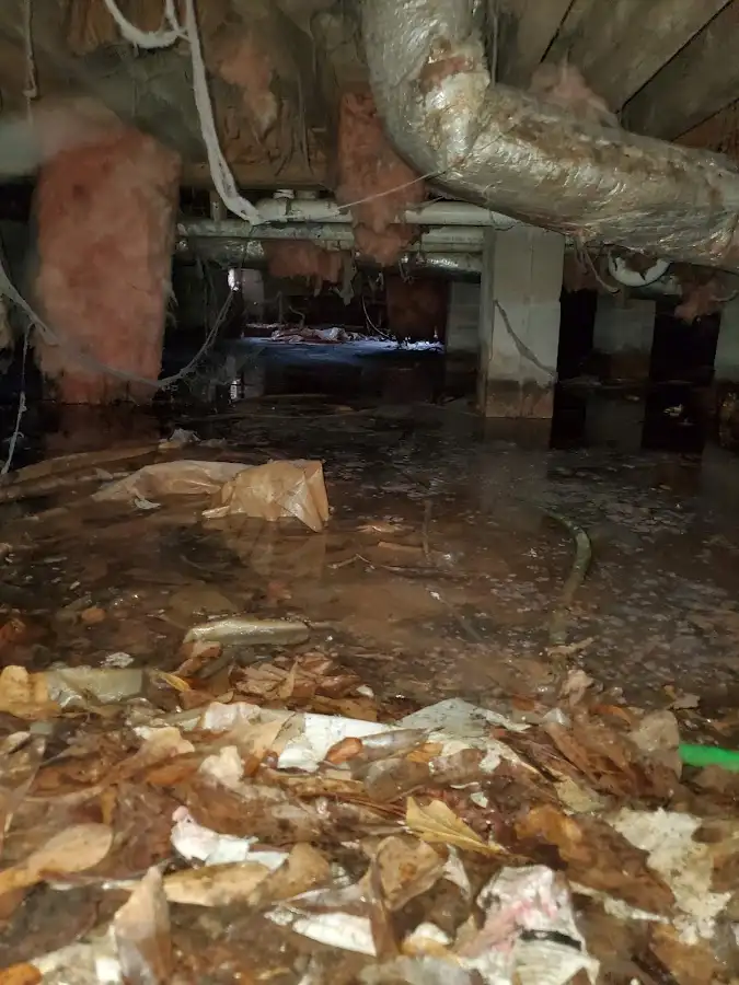 Crawl space flood assessment for Commercial Water Damage Restoration in St. Francis